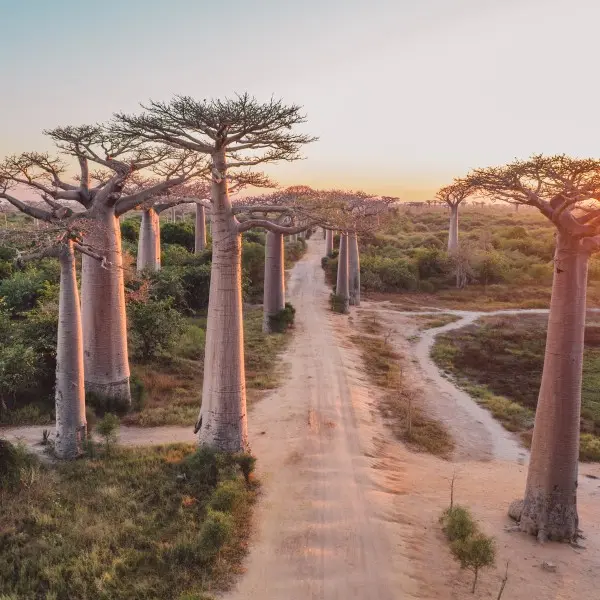 פיאנרנצואה – גלו את גן העדן הסודי של ברזיל!