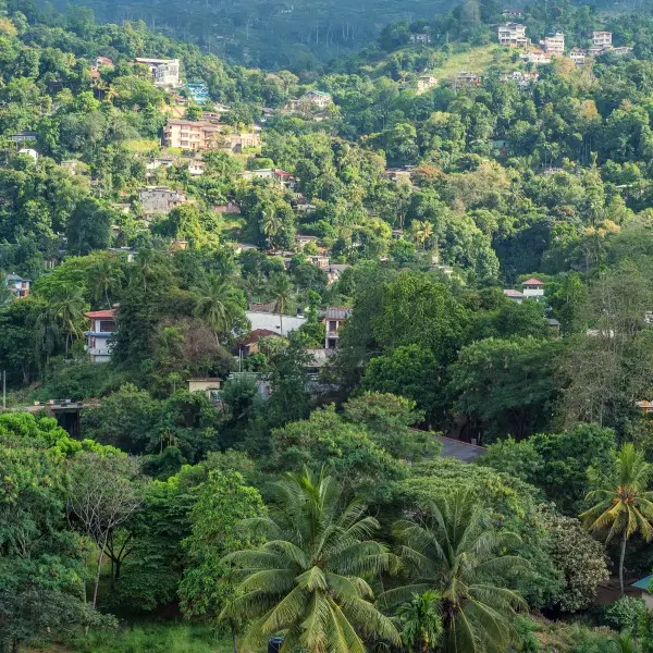 קנדי: גלו את הלב היכן שהקסם וההרפתקה נפגשים בסרי לנקה!