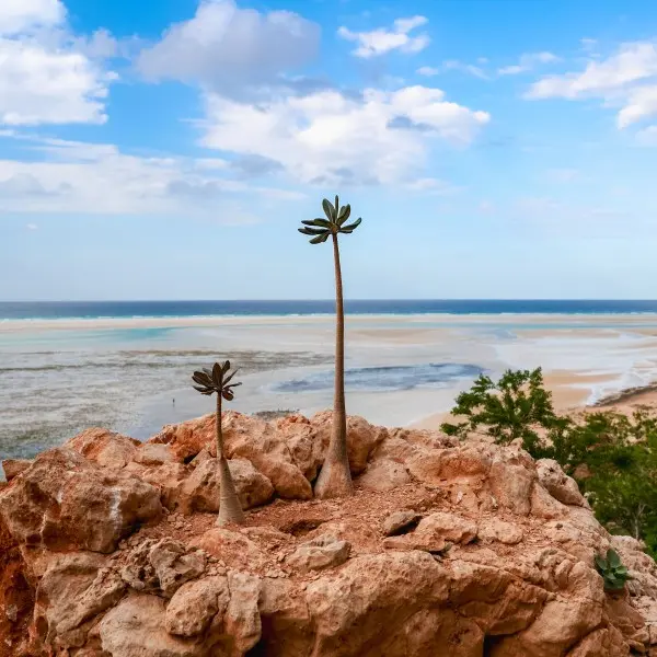 קורל קוסט: החופים הזהובים והטרופיים שמחכים רק לכם!
