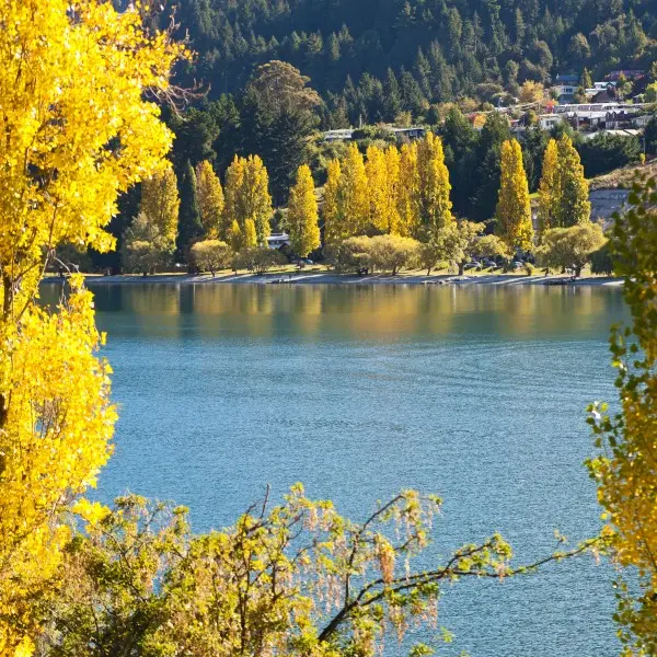 קווינסטאון קוראת לכם – חוויית ההרפתקאות של ניו זילנד!