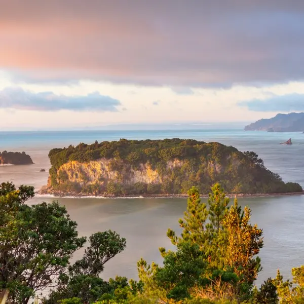 אוקלנד – העיר שלא מפסיקה להפתיע בניו זילנד!