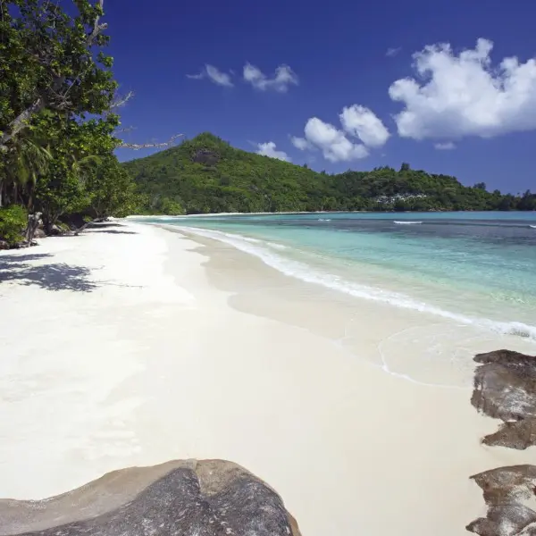 חוויה טרופית קסומה ובלתי נשכחת בלב האוקיינוס