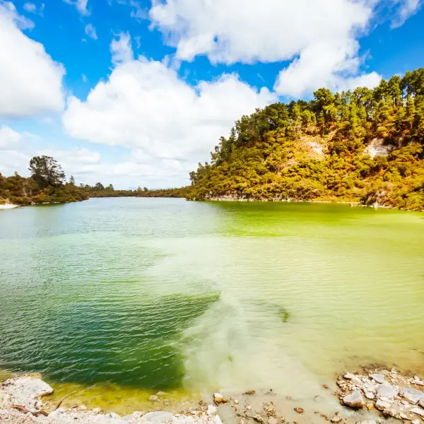 רוטורואה: חוויית הטבע והקסם הניו-זילנדית האולטימטיבית