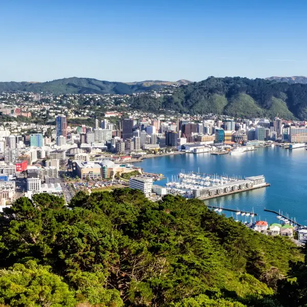 וולינגטון – הלב הפועם של התרבות והטבע בניו זילנד!