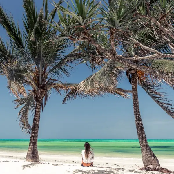 מומבסה - גן עדן טרופי קסום על חופי האוקיינוס ההודי