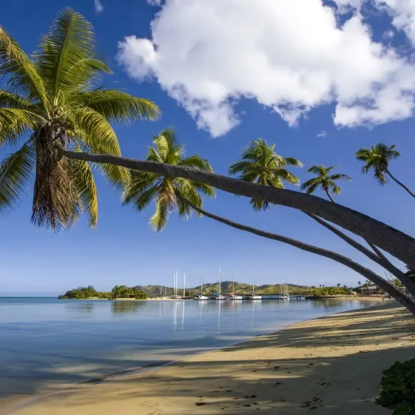 נארואה – גן העדן הנסתר של המזרח הרחוק